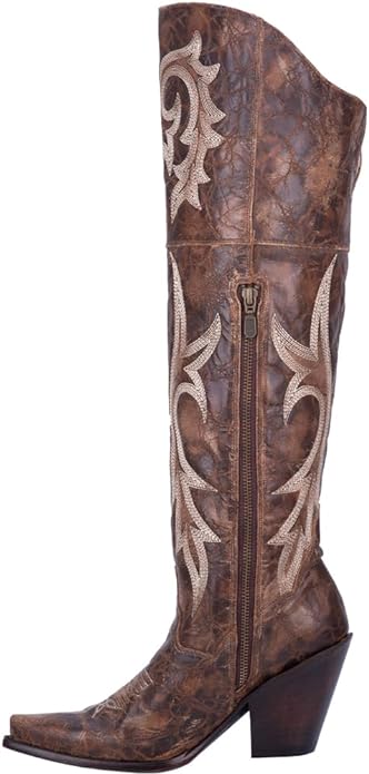 Dan Post Women’s Jilted Western Boot from Amazon (color brown)